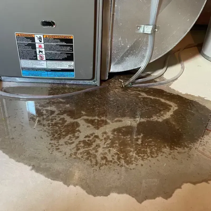 Appliance Leak Cleanup in Gilcrest, CO